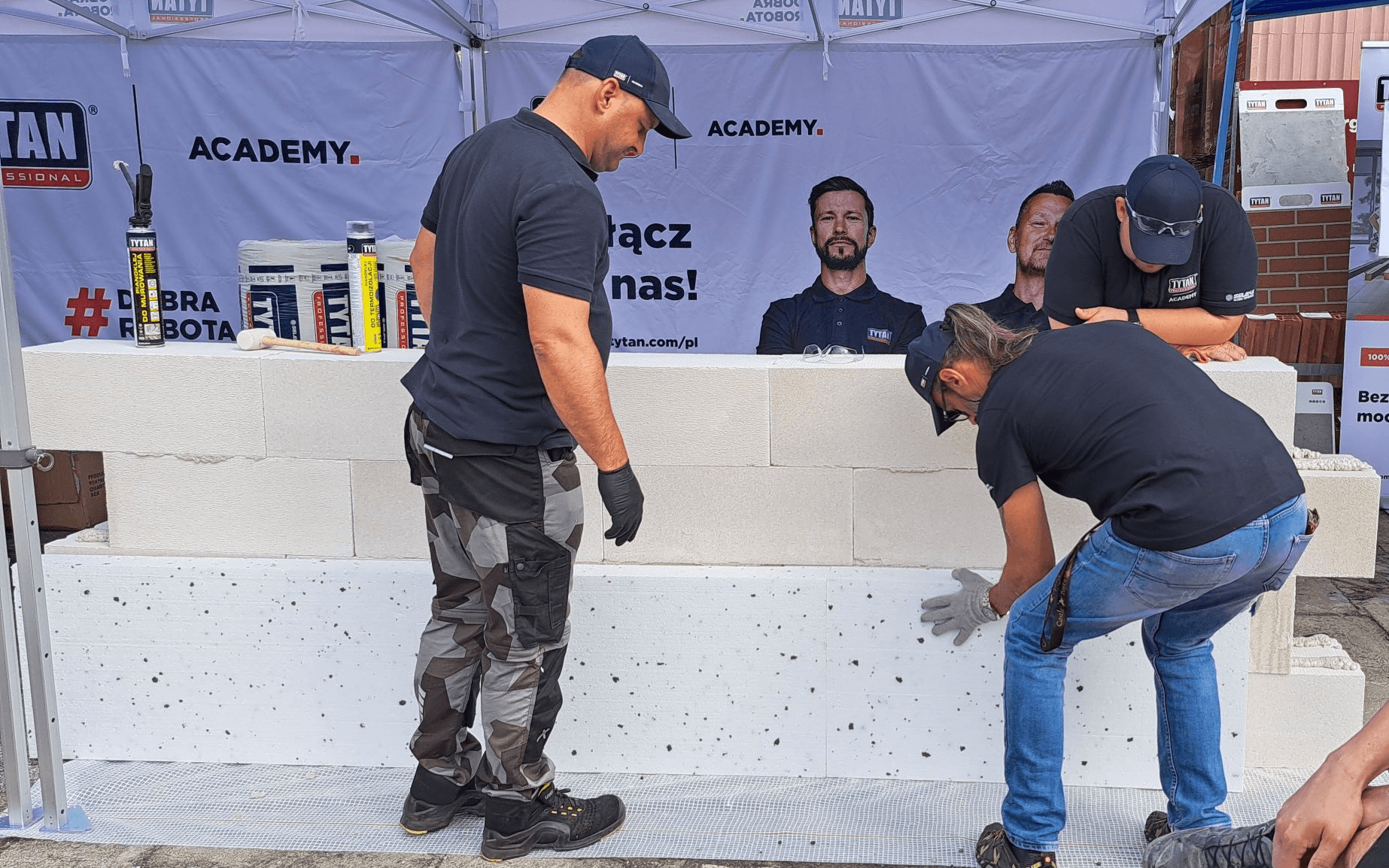 66d9a089c87b84a298a77b46